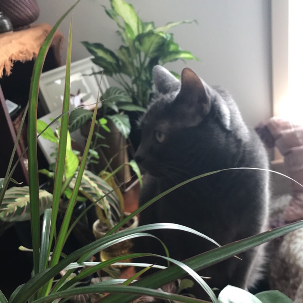 Meet your Posher, Madeline